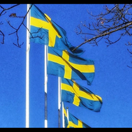 Är du en riktig svensk?