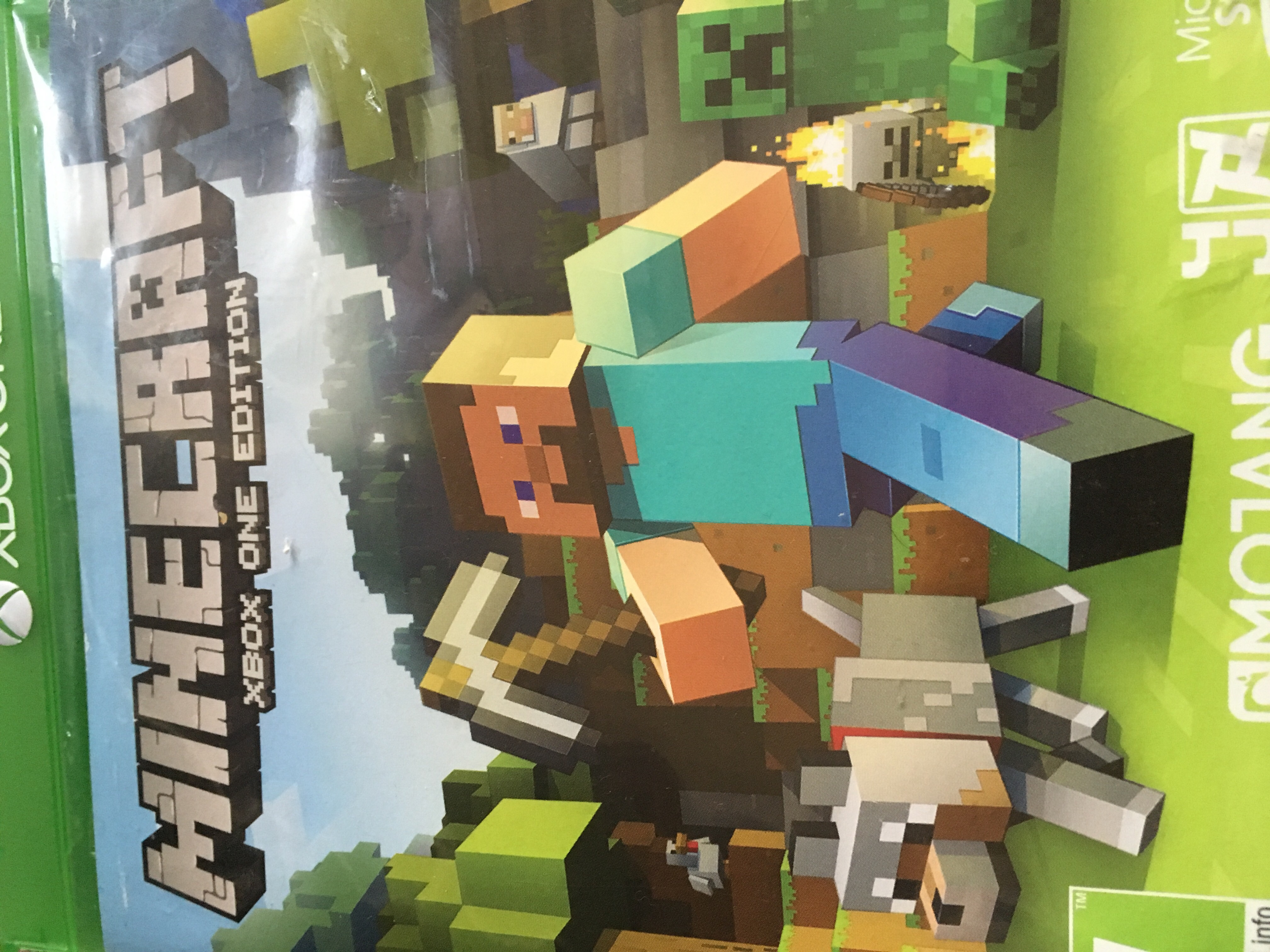 Minecraft  Magic Quiz.