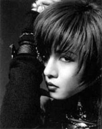 Dir en grey?