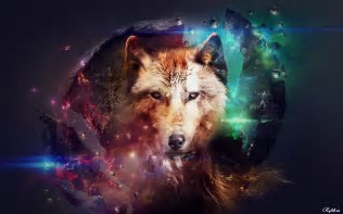 What type of wolf are you?