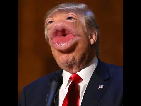 Vad är du för typ av person??