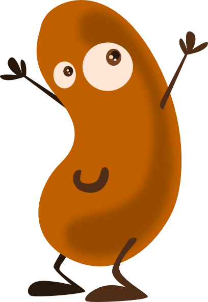 Is it a bean?
