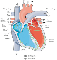 Pucko test