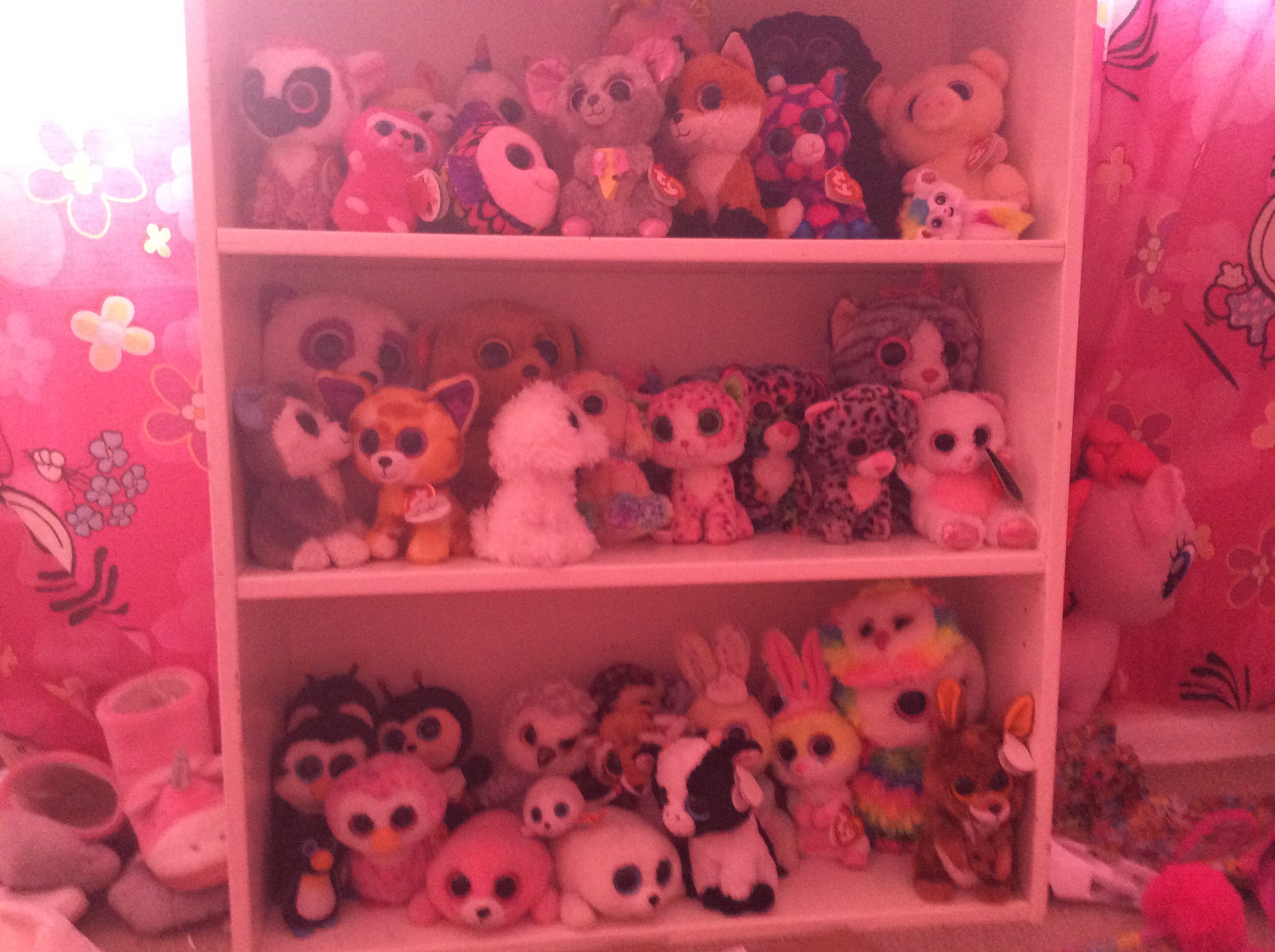 Which animal are you