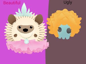 Are you beautiful or ugly