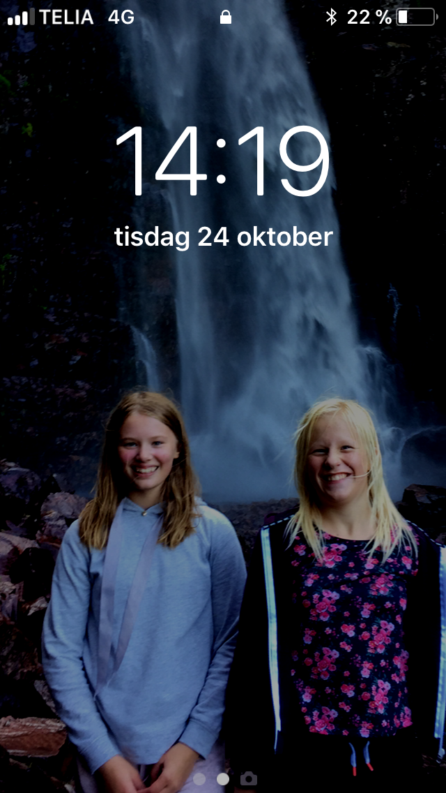 ÄR din vän falsk