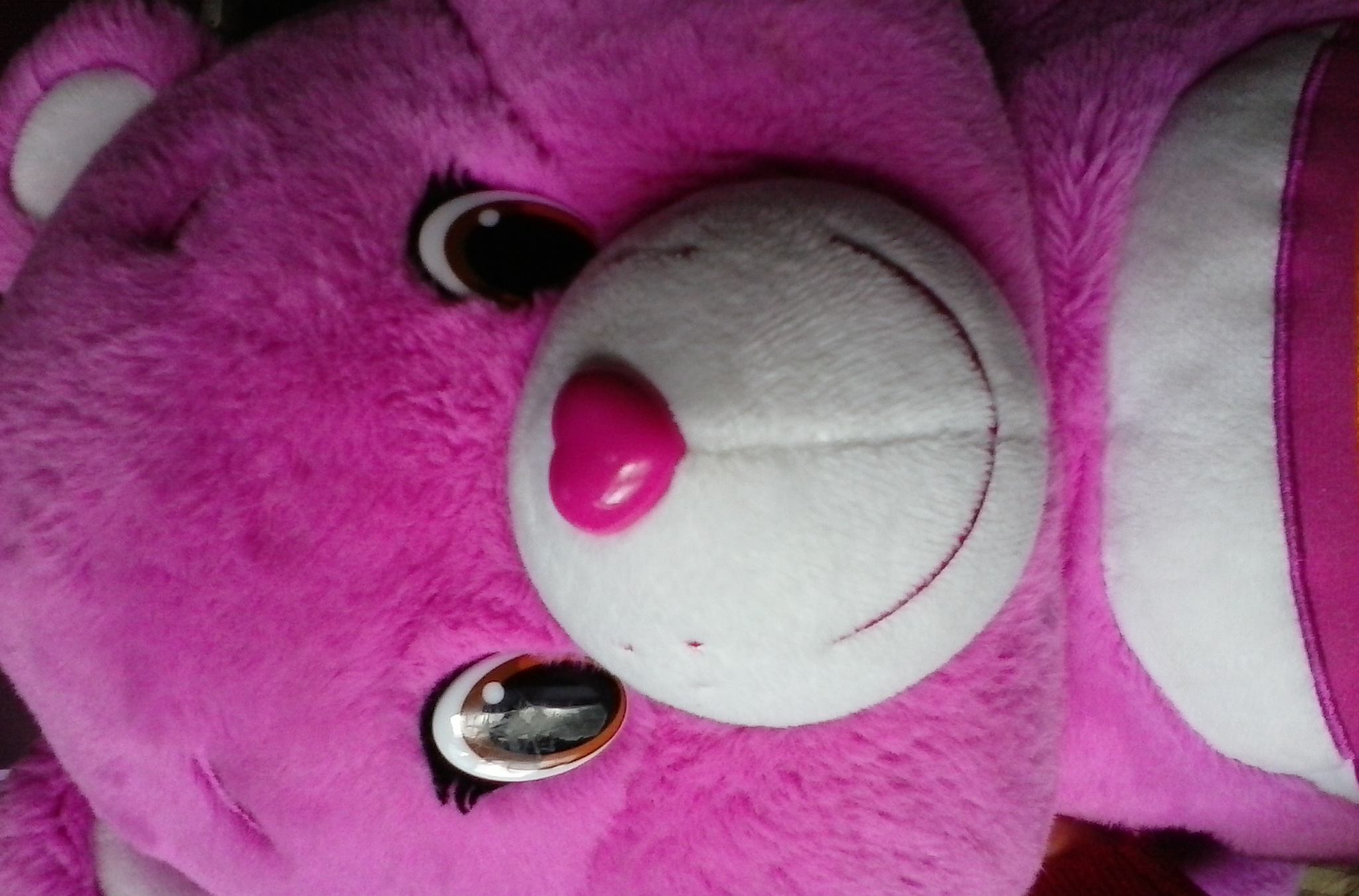 With care bear are you