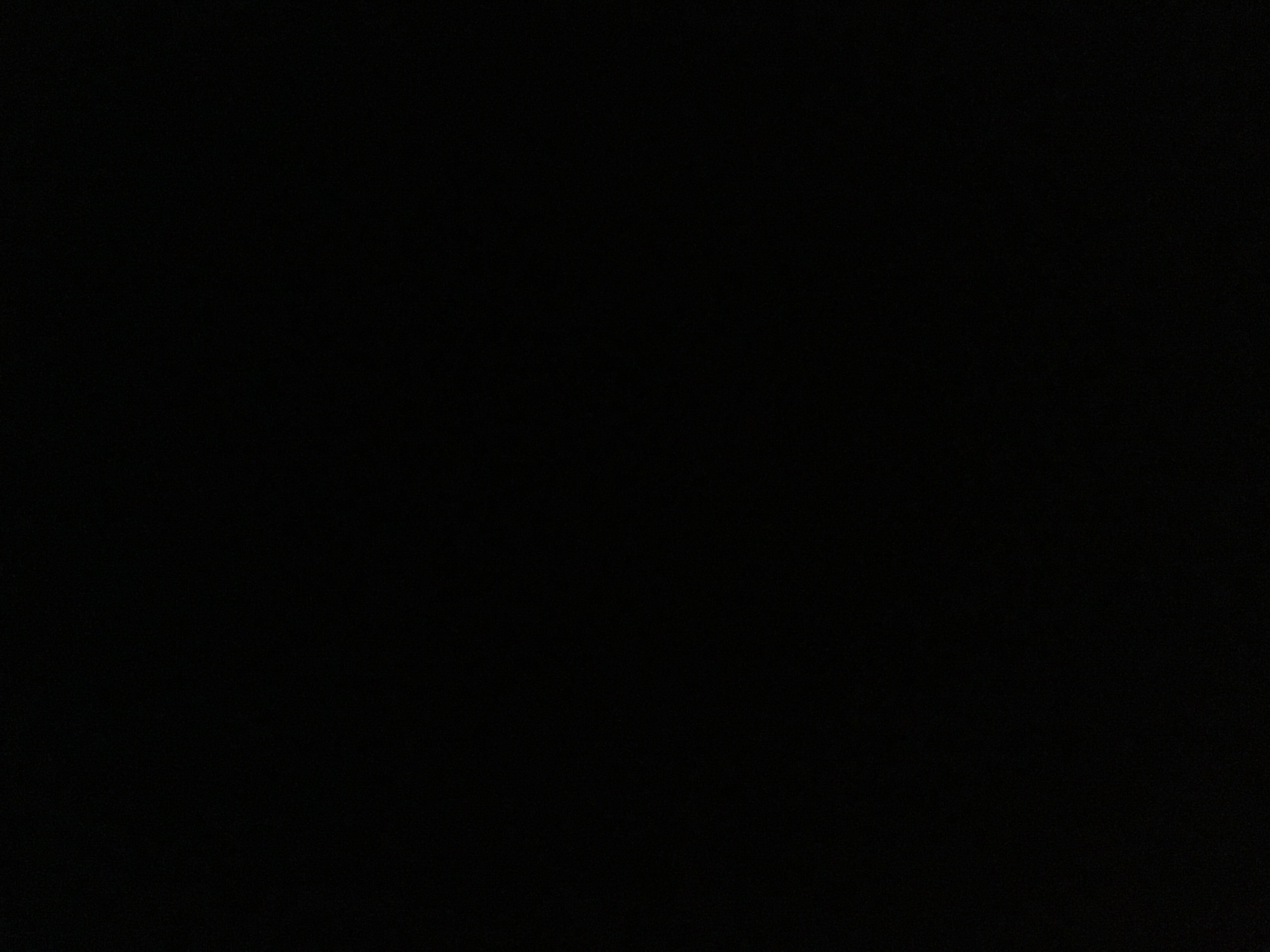 Årstid