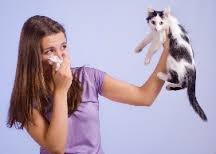 What are you allergic to?