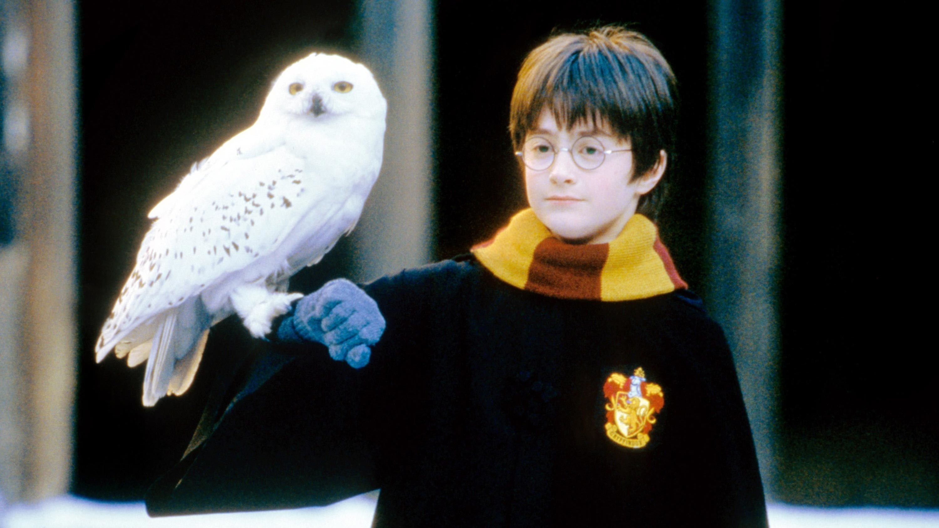 Vilket elevhem är du med i Harry Potter?