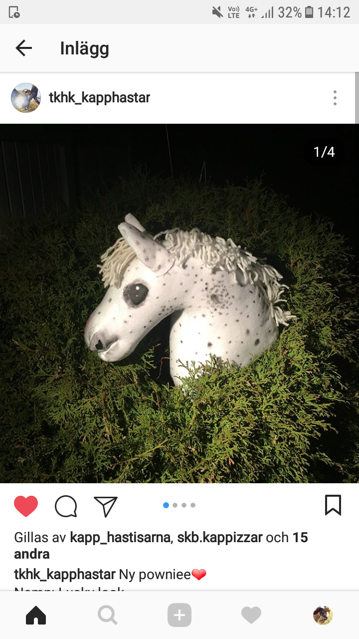 Vad kan du om tkhk_kapphstar