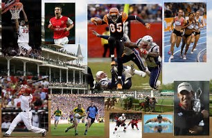 whats your favorite sport?