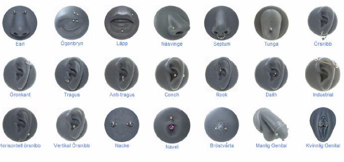 Vilken piercing passar dig?