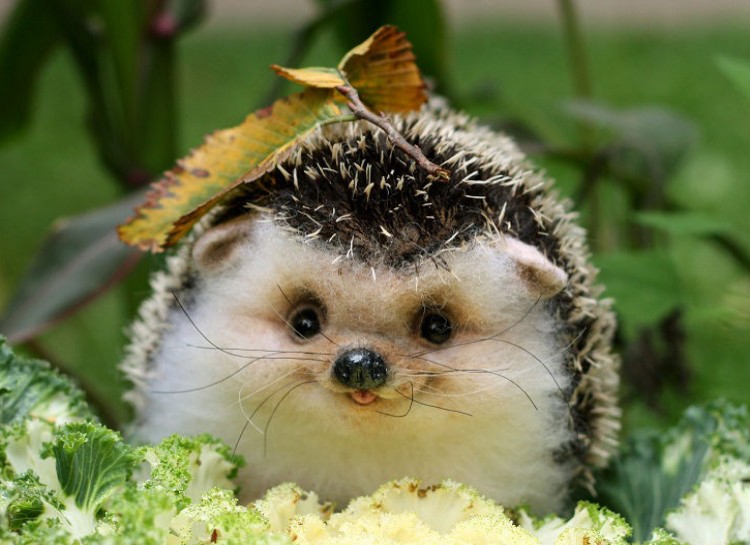 Your signature stuffed animal