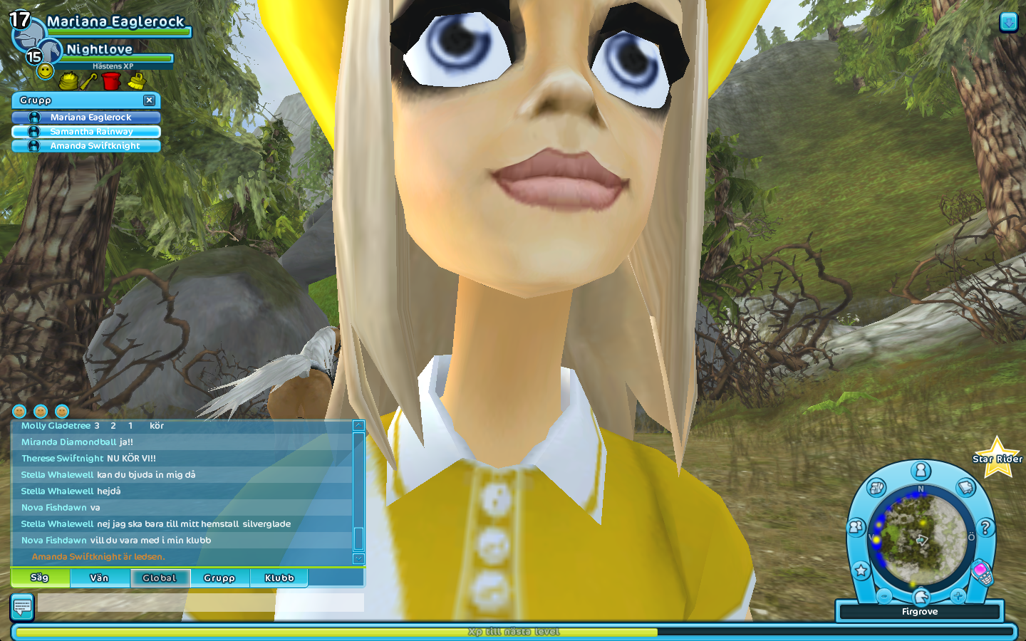 Amanda Swiftknight