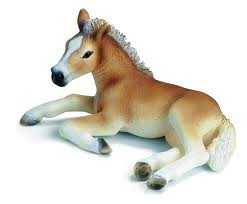 Schleich hast-Quizen