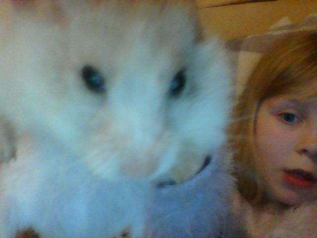 join leopards and hamster group if you get seven corret or all