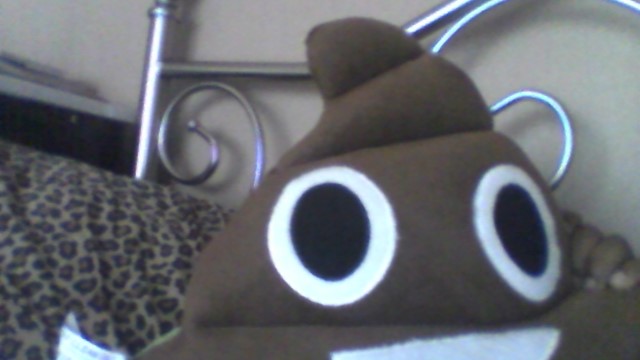 the  poop quiz