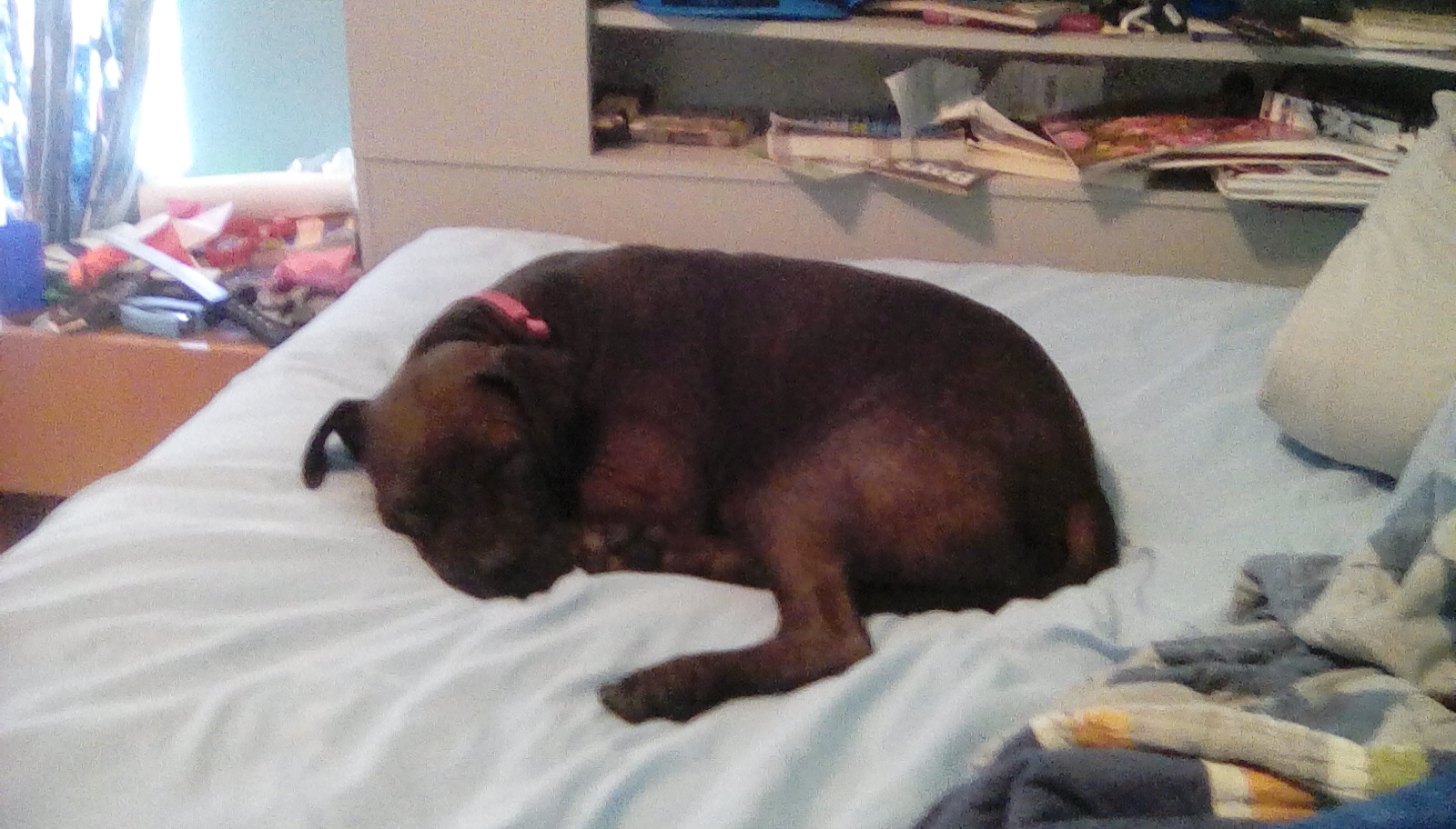 What is cuter
