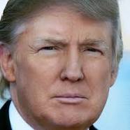DONALD TRUMP QUIZ