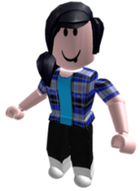 Do You Like Roblox?