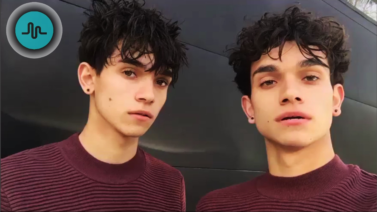 What Dobre Brother is Right for You?