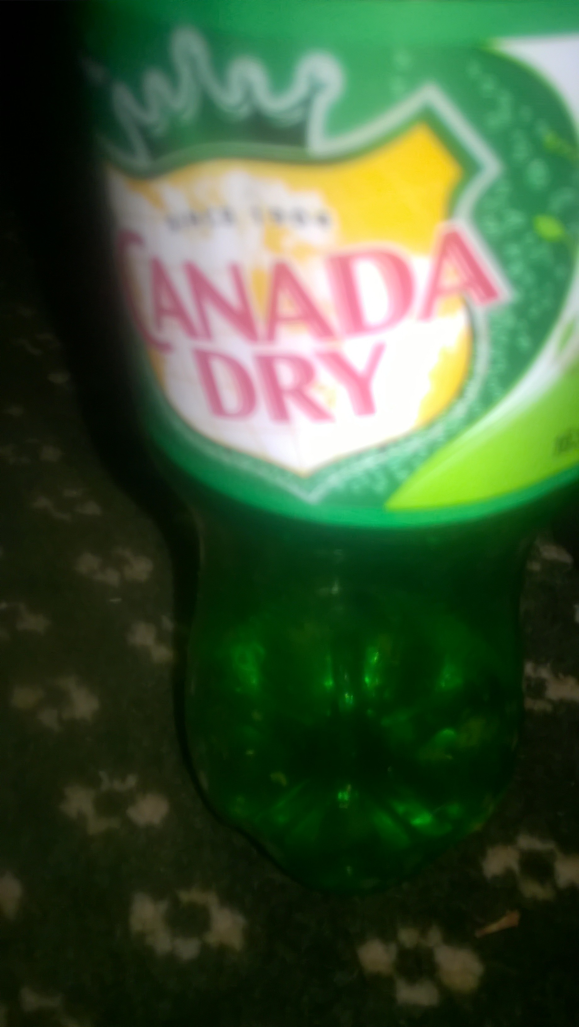 Canada Dry