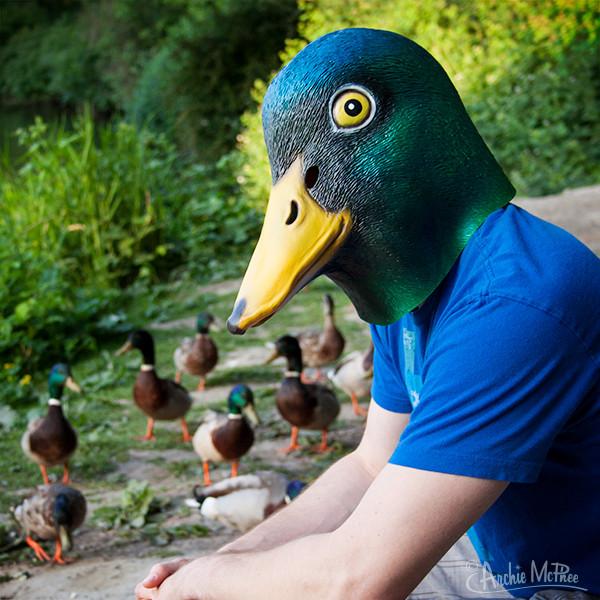 Are u a duck