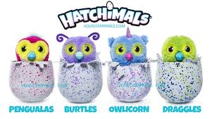 What kind of hatchimals are you?