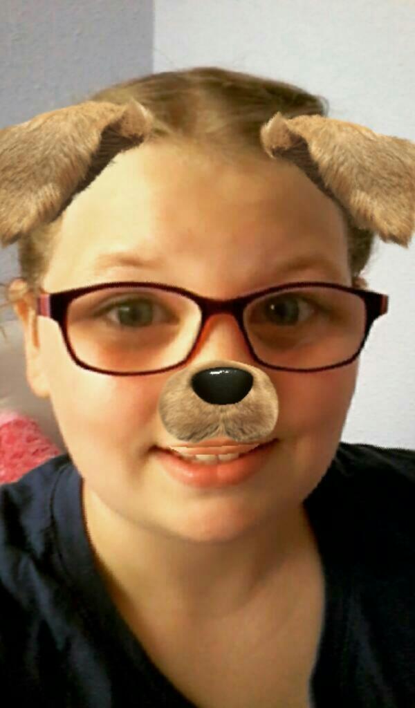 What animal are you