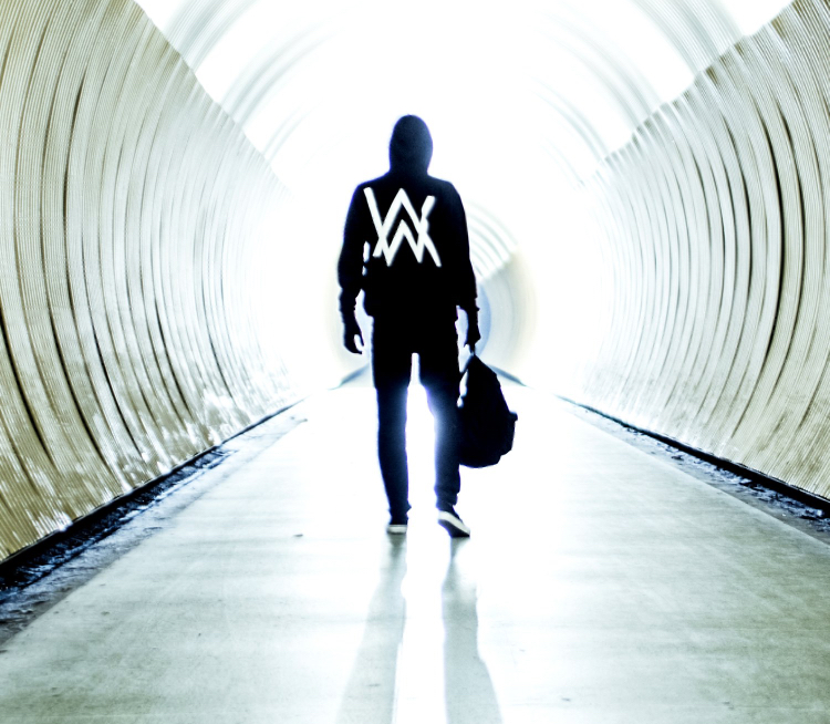 How well do you know Alan Walker