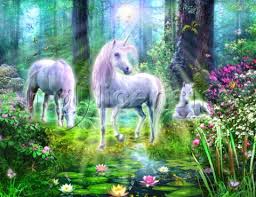 Magical World Quiz