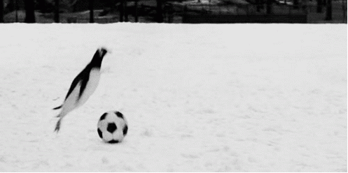 Do you like soccer