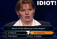 FRÅGOR FÖR IDIOTER