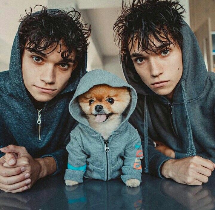 How well do you know the dobre twins