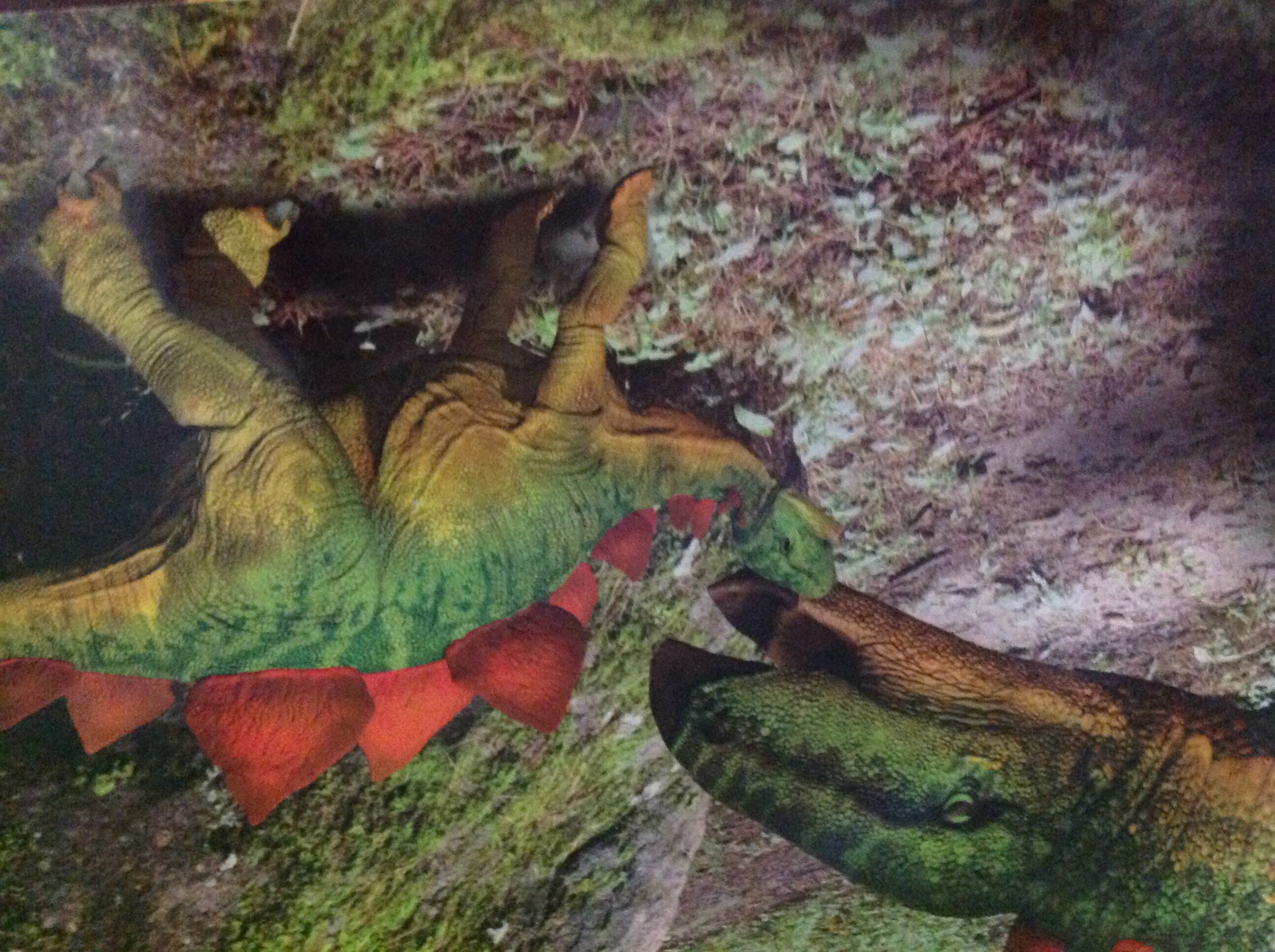 Vad vet du om dinosaurier