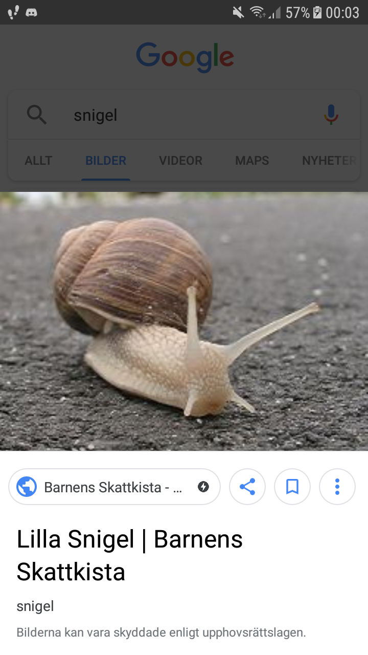 Vad ska Flipp göra?