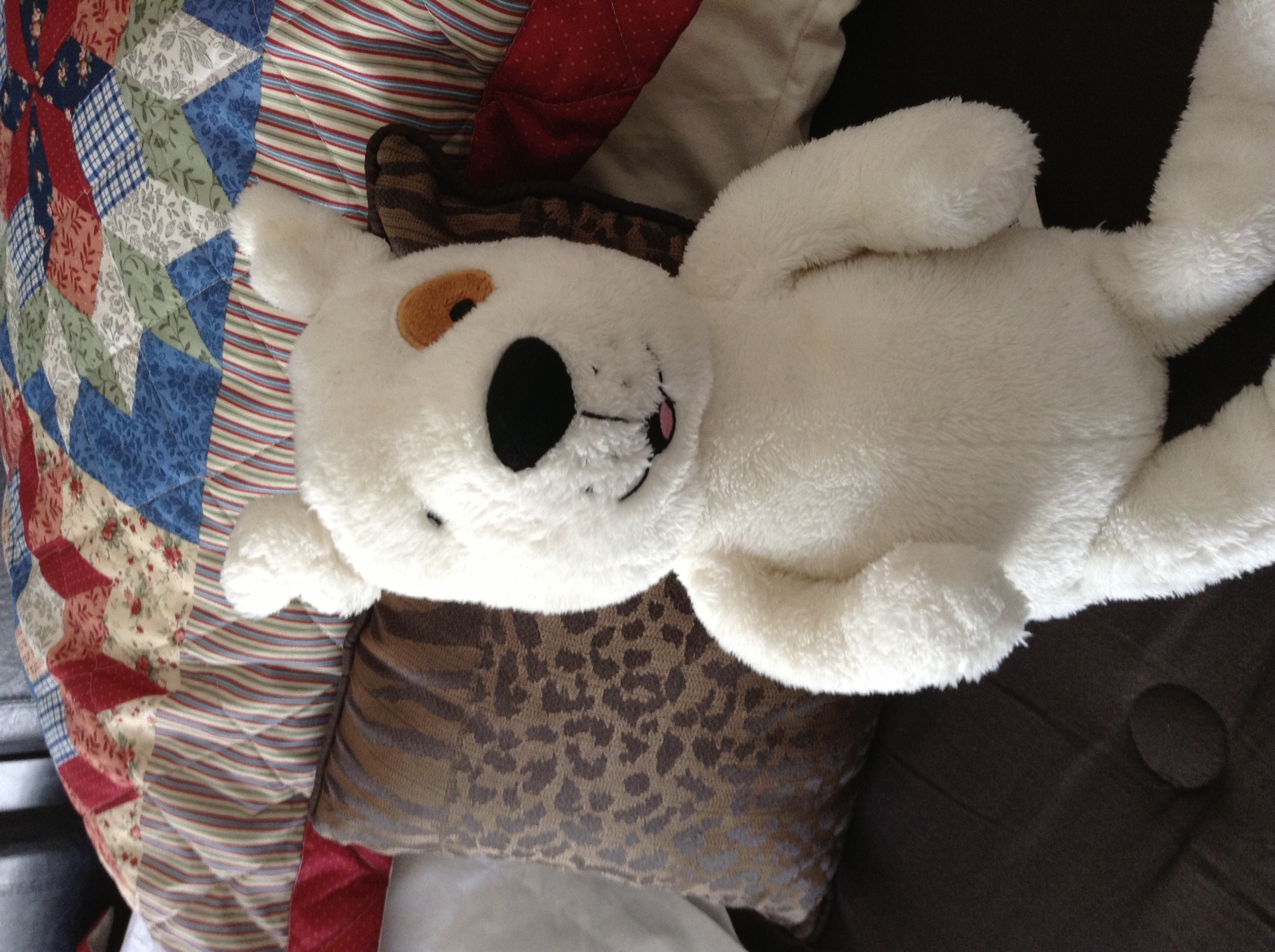 Do you like bears or pigouns