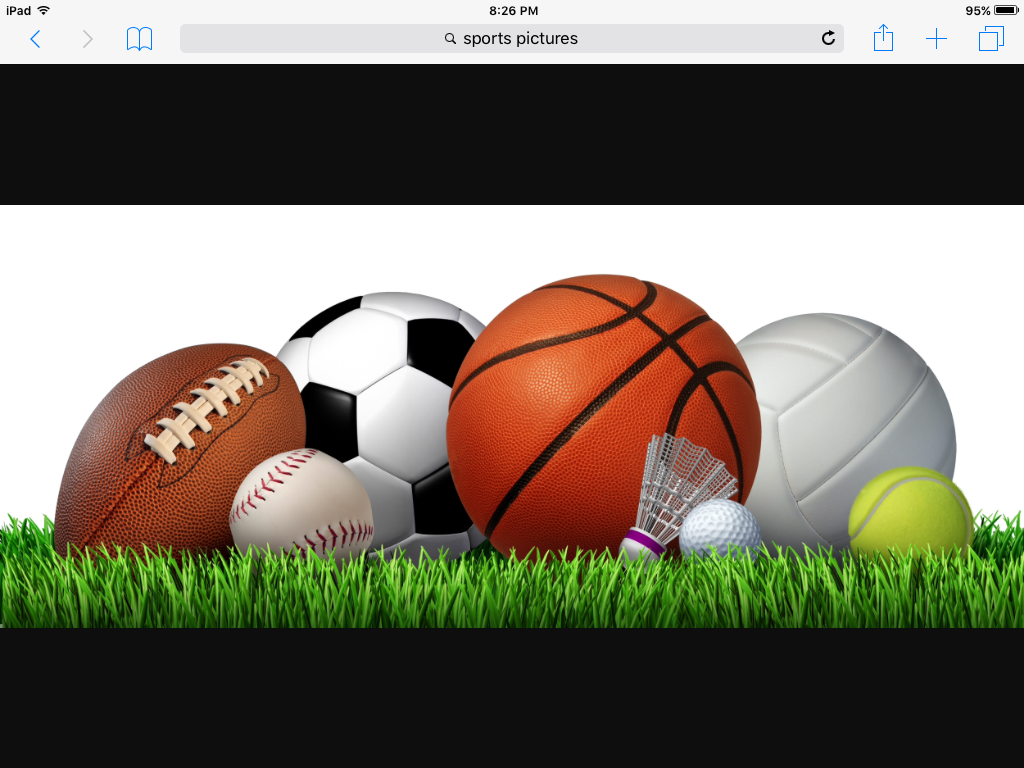 What is your favorite sport?