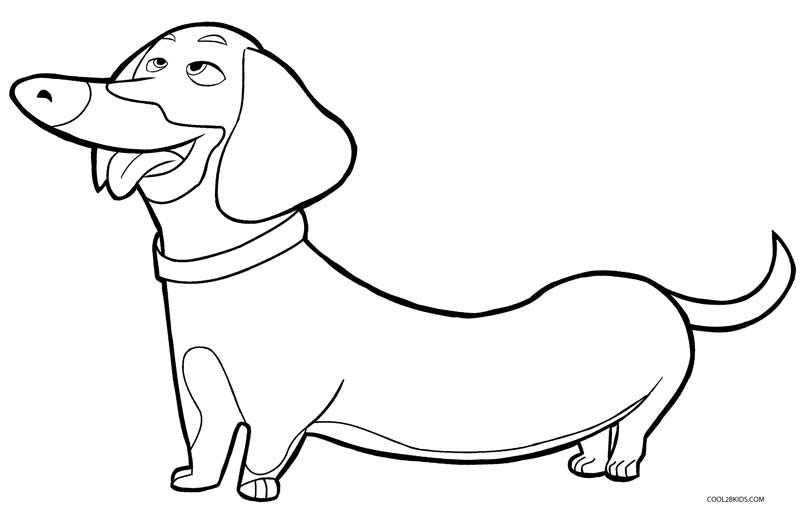 Which dog are you?