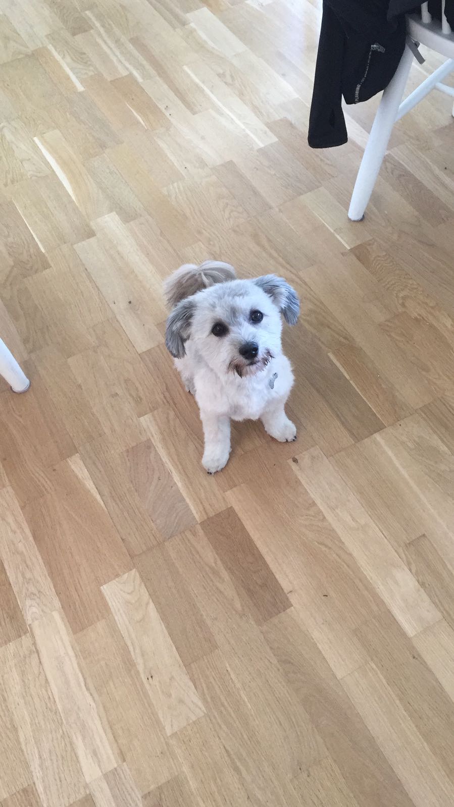 Svara alla rätt och få min snap