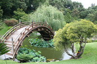 Japan-test