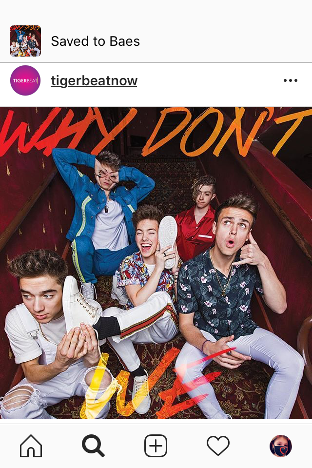 WHY DON'T WE