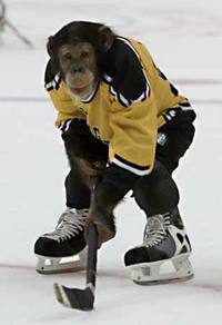 hockey