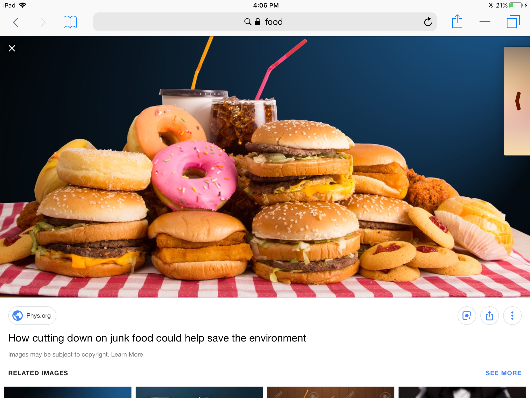 WHAT FOOD ARE YOU