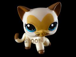 petshop