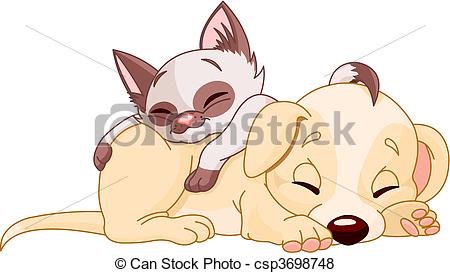 are you a dog or cat