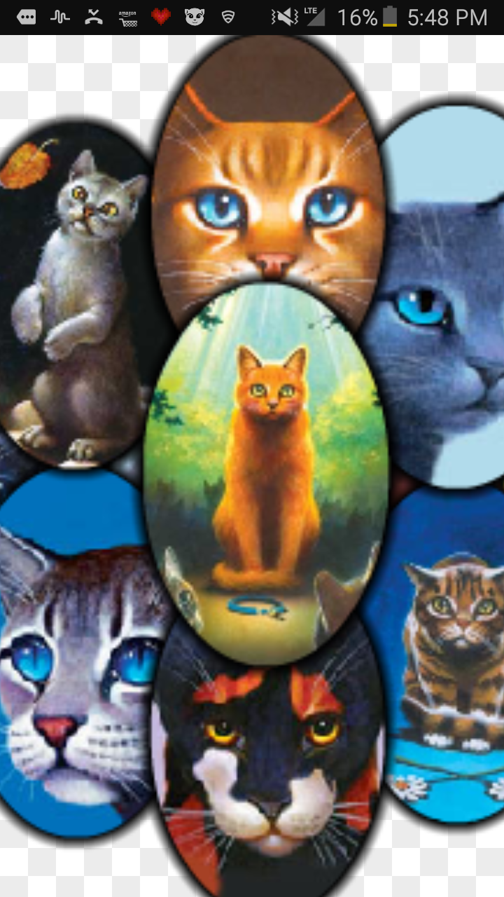 Warrior Cats Quiz: Into the Wild