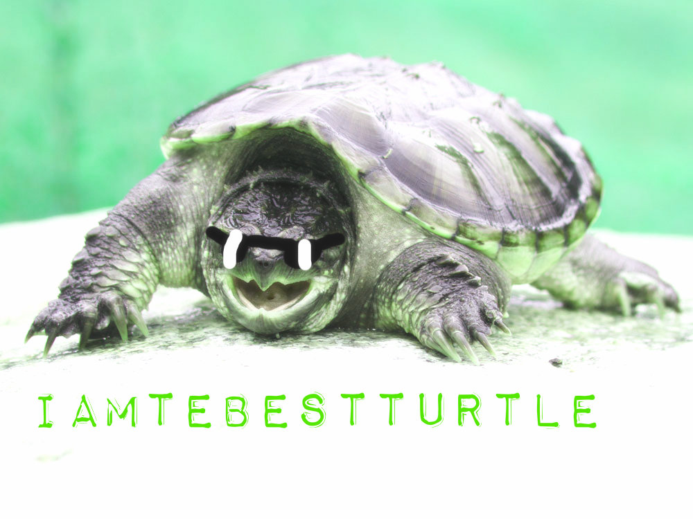 Iamthebestturtle2