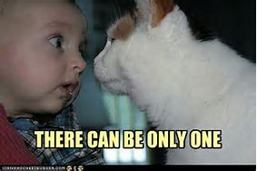 Ifz yoz wer kitten:The split up